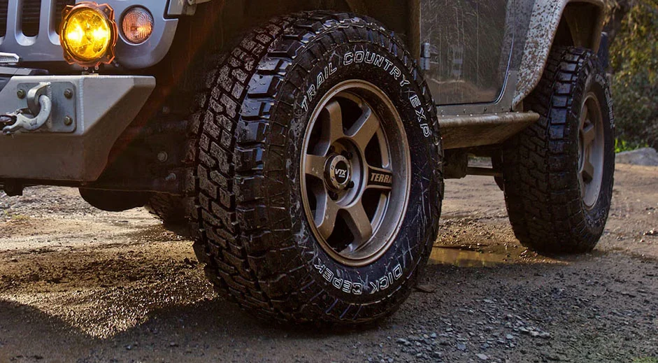 DickCepek-logo-on-tire