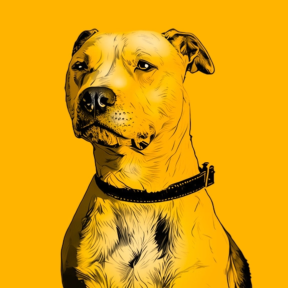 Ziggy-Parker-Dogs-of-Design-IllustrationI